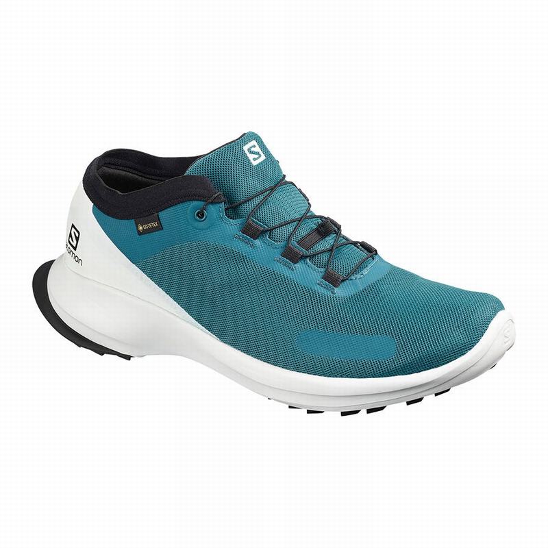 Zapatillas Trail Running Salomon Hombre Azules - Salomon Argentina SENSE FEEL GTX ,351769-BJY